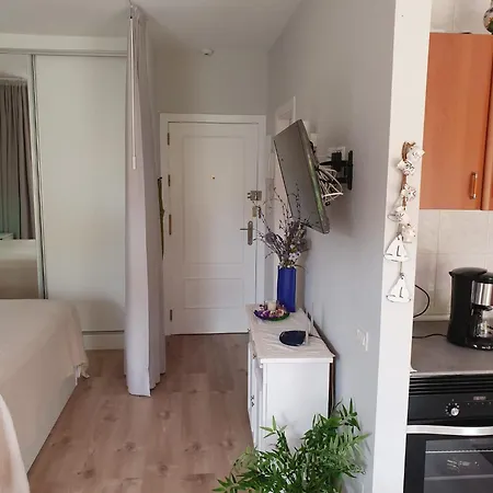 Apartamento Tranquilo En Pto Cruz * Puerto de la Cruz (Tenerife)